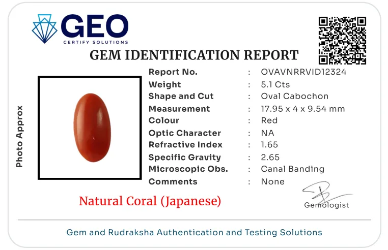 Red Coral (Japanese) - 5.1 Carat