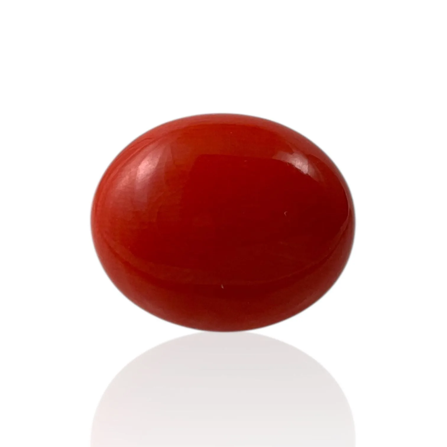 Red Coral (Japanese) - 9.3 Carat