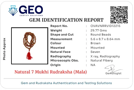 7 Mukhi Rudraksha Mala (108+1)