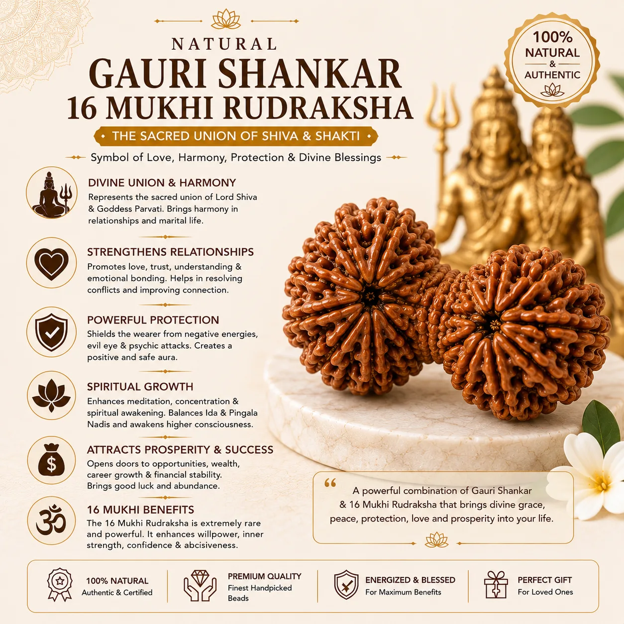 Natural Gauri Shankar 16 Mukhi Rudraksha