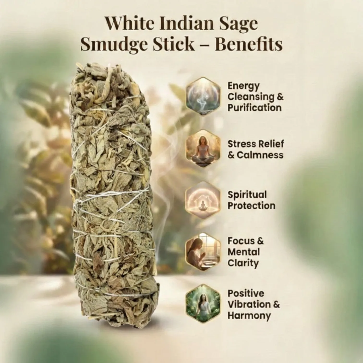 White Indian Sage