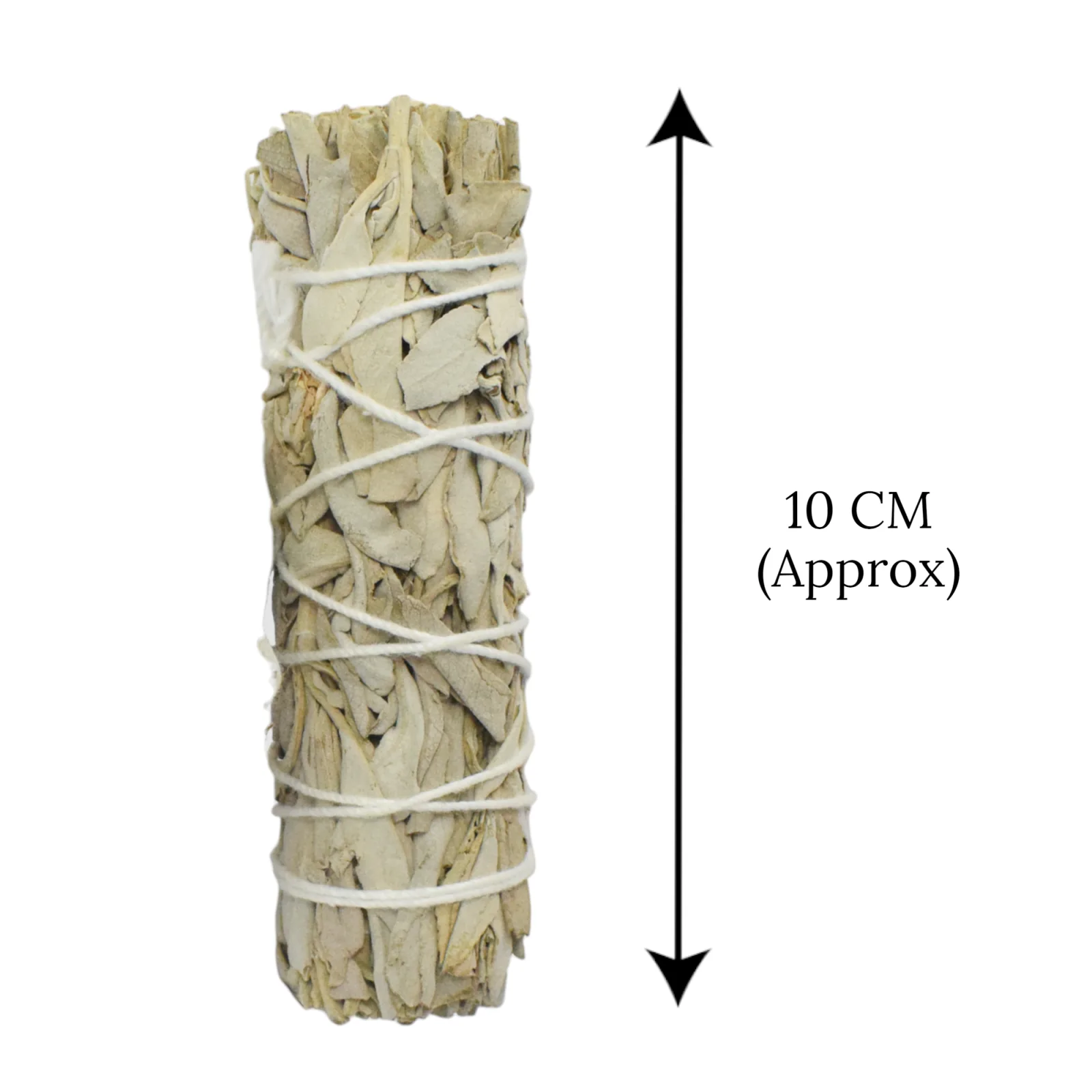 California White Sage Smudge Stick - 10.17 cm