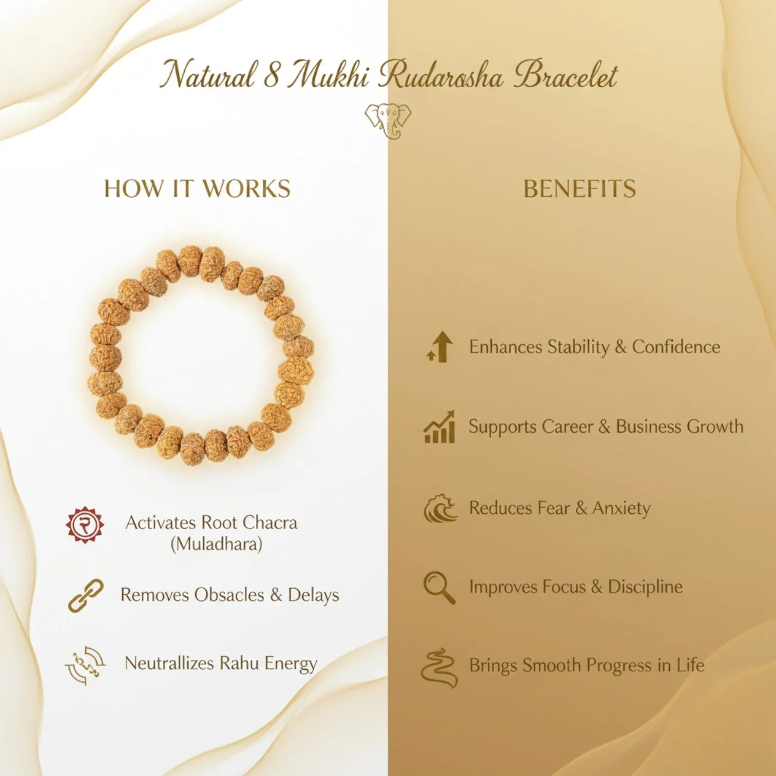 8 Mukhi Rudraksha Bracelet