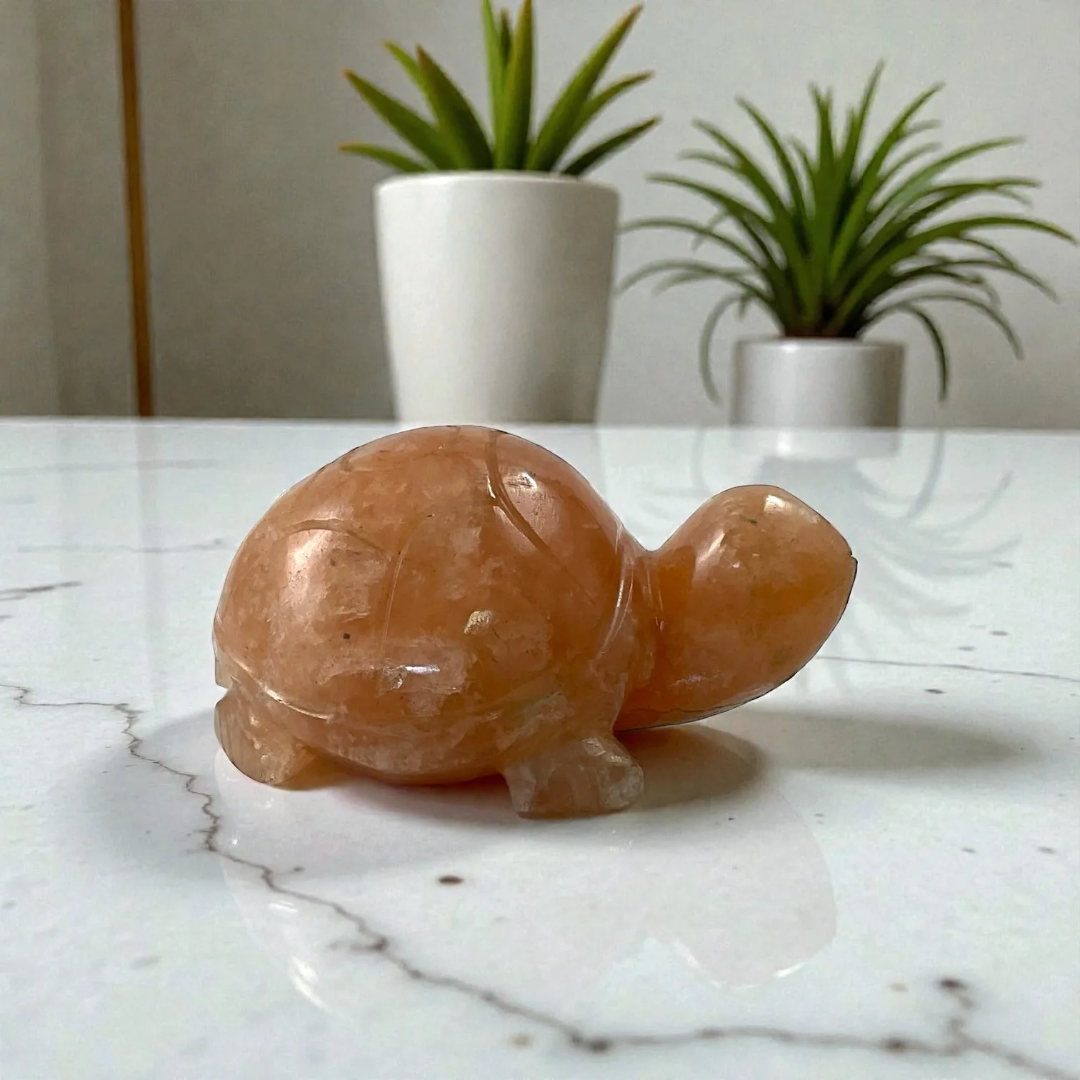 Red Aventurine Turtle