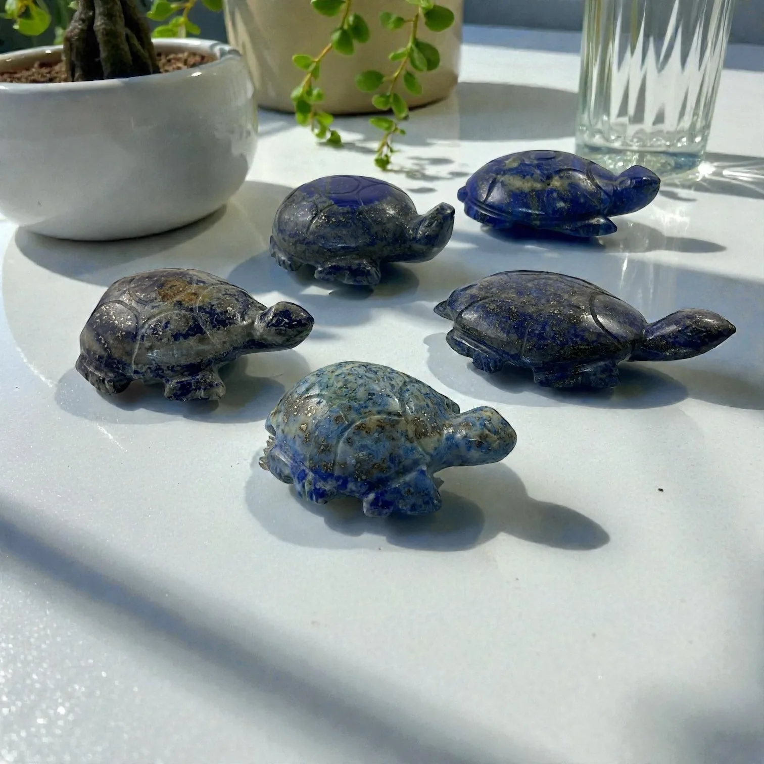 Lapis Lazuli Turtle