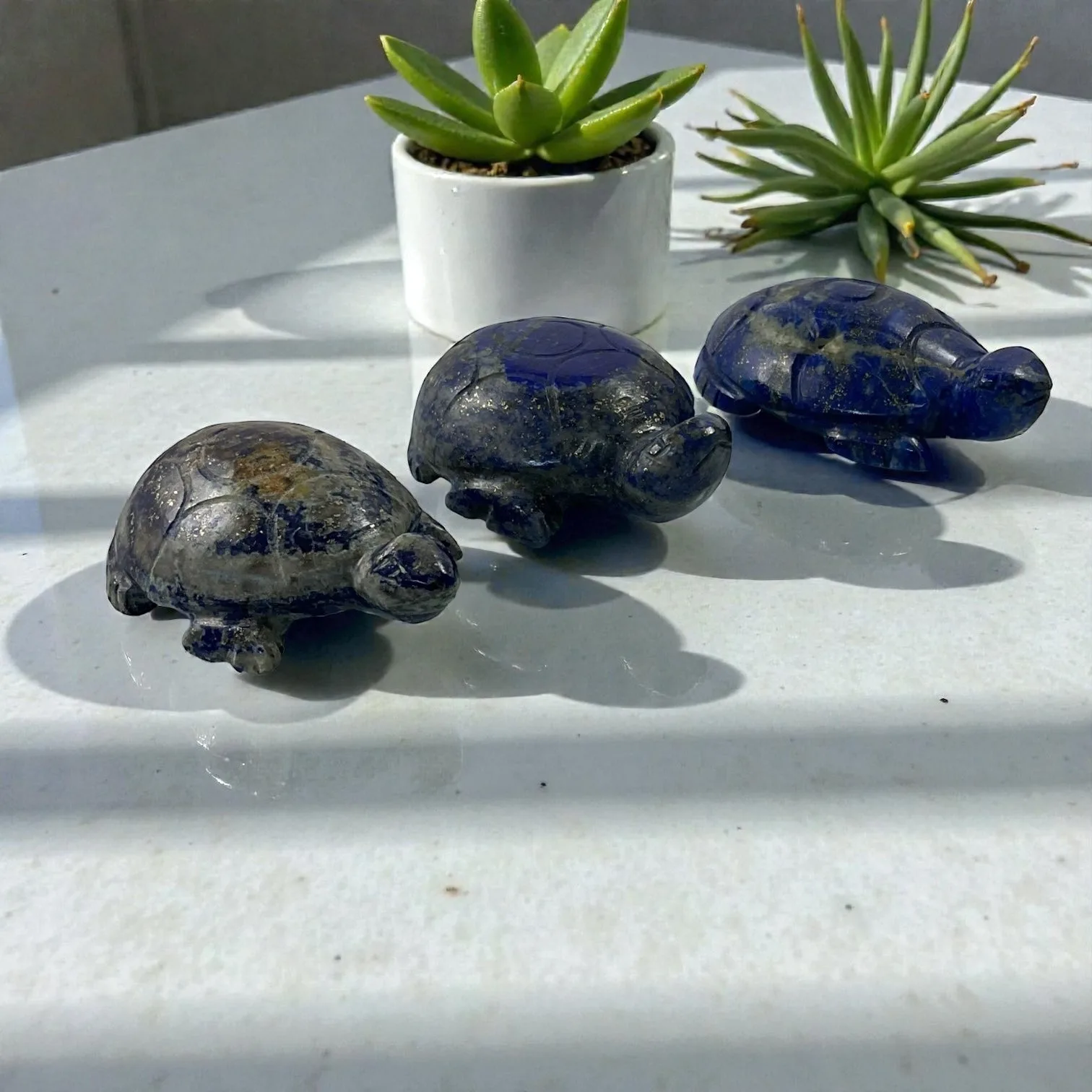 Lapis Lazuli Turtle
