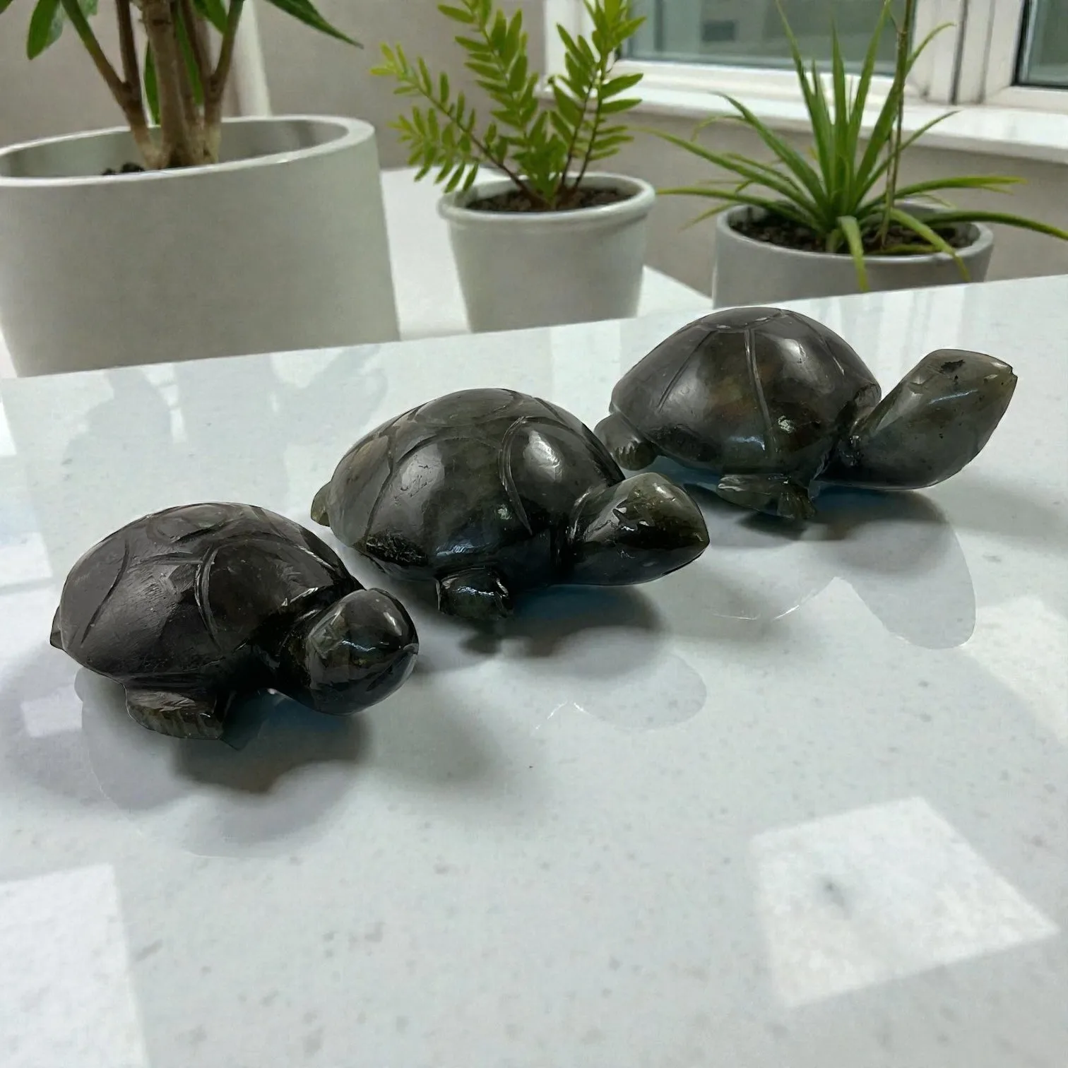 Labrodorite Turtle