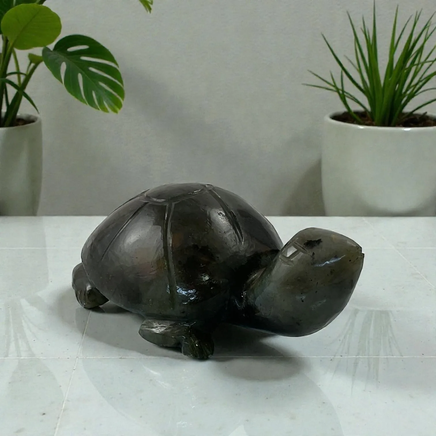 Labrodorite Turtle
