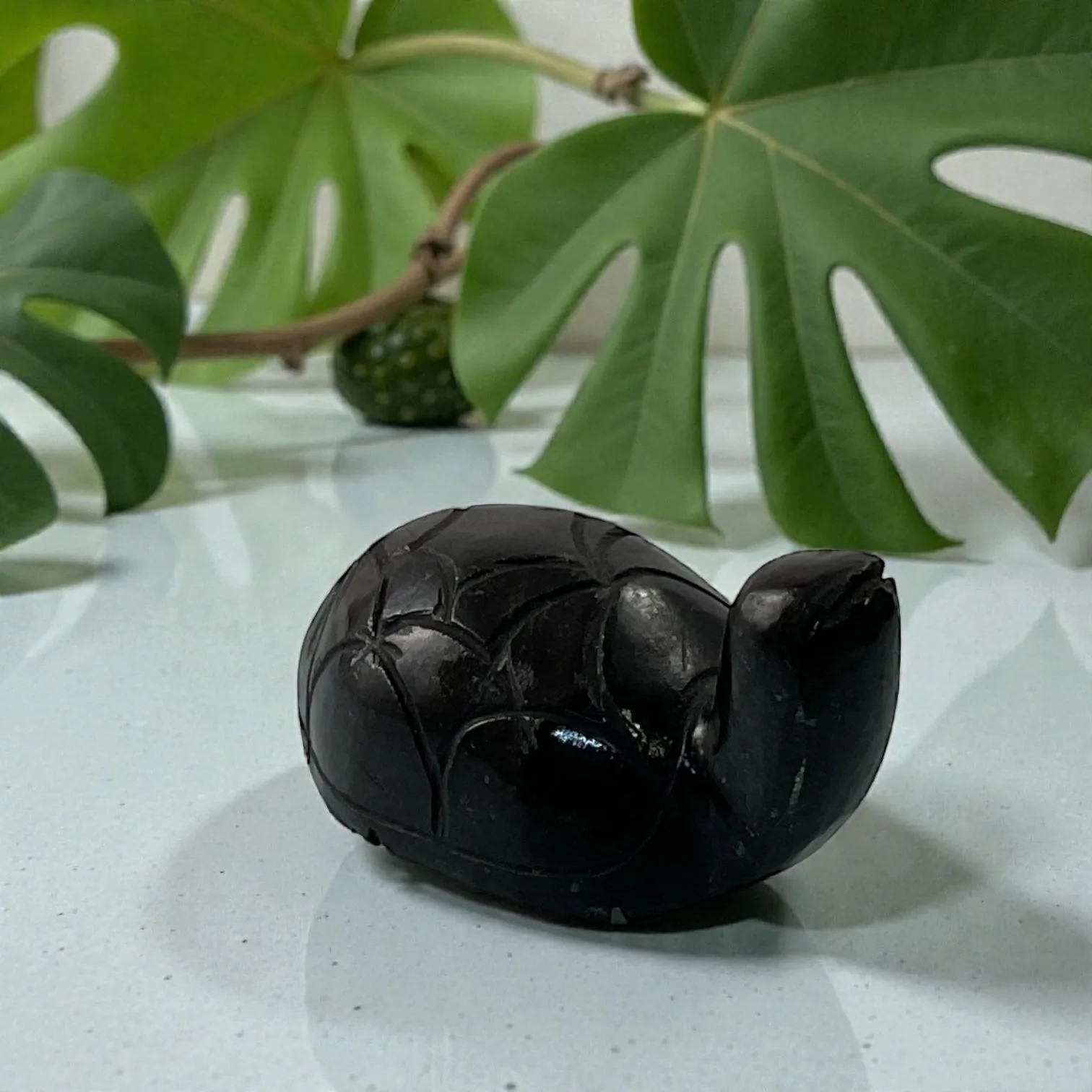 Black Agate Turtle