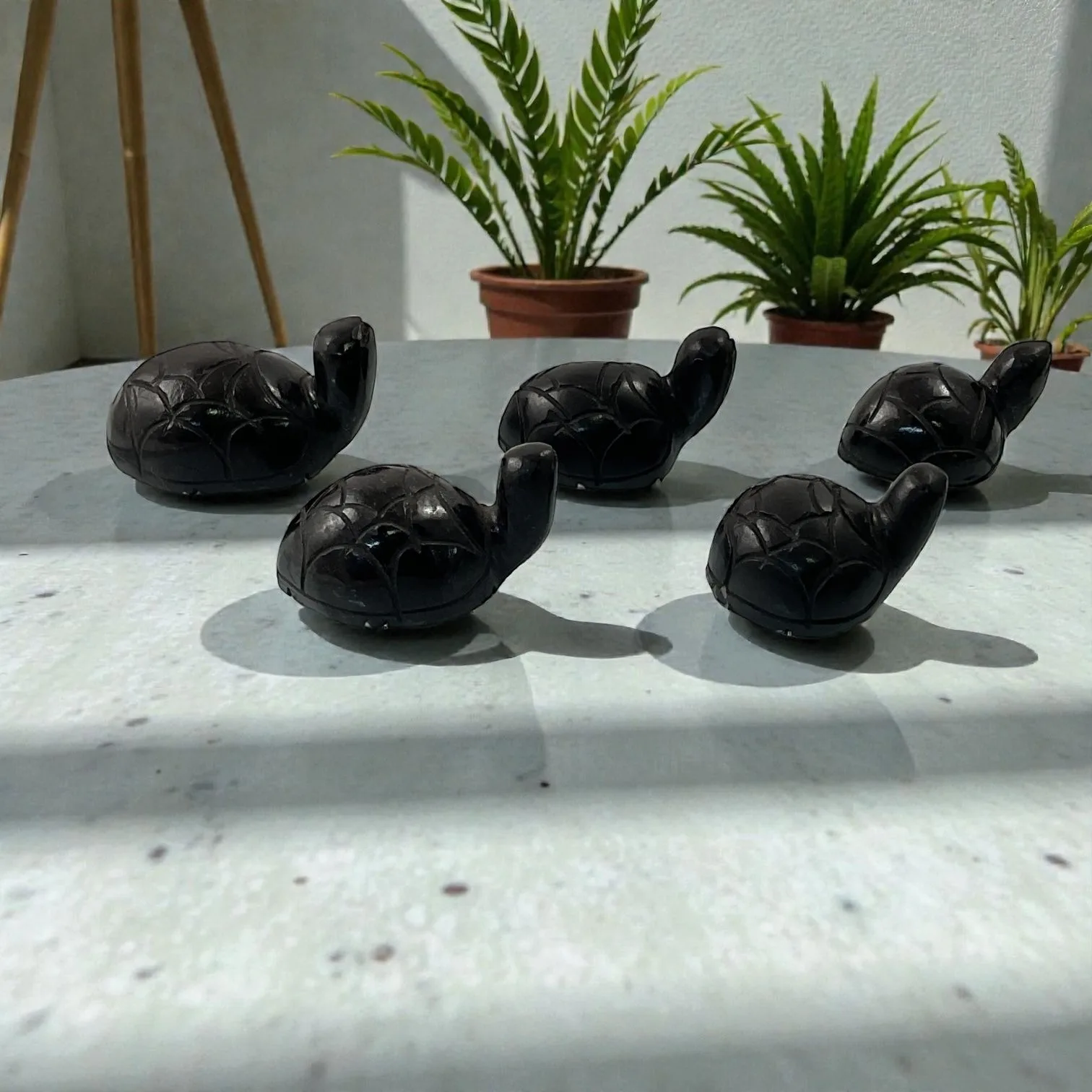 Black Agate Turtle