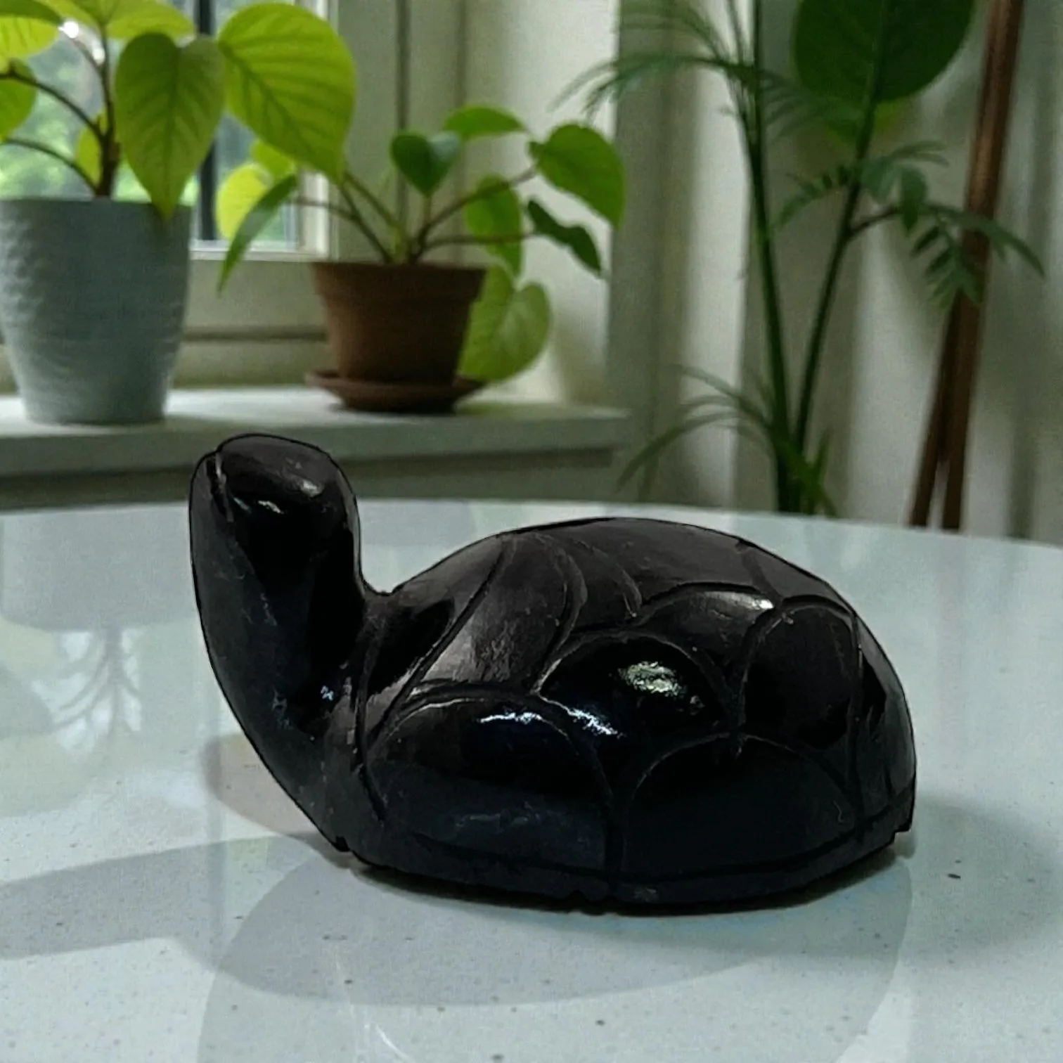Black Agate Turtle