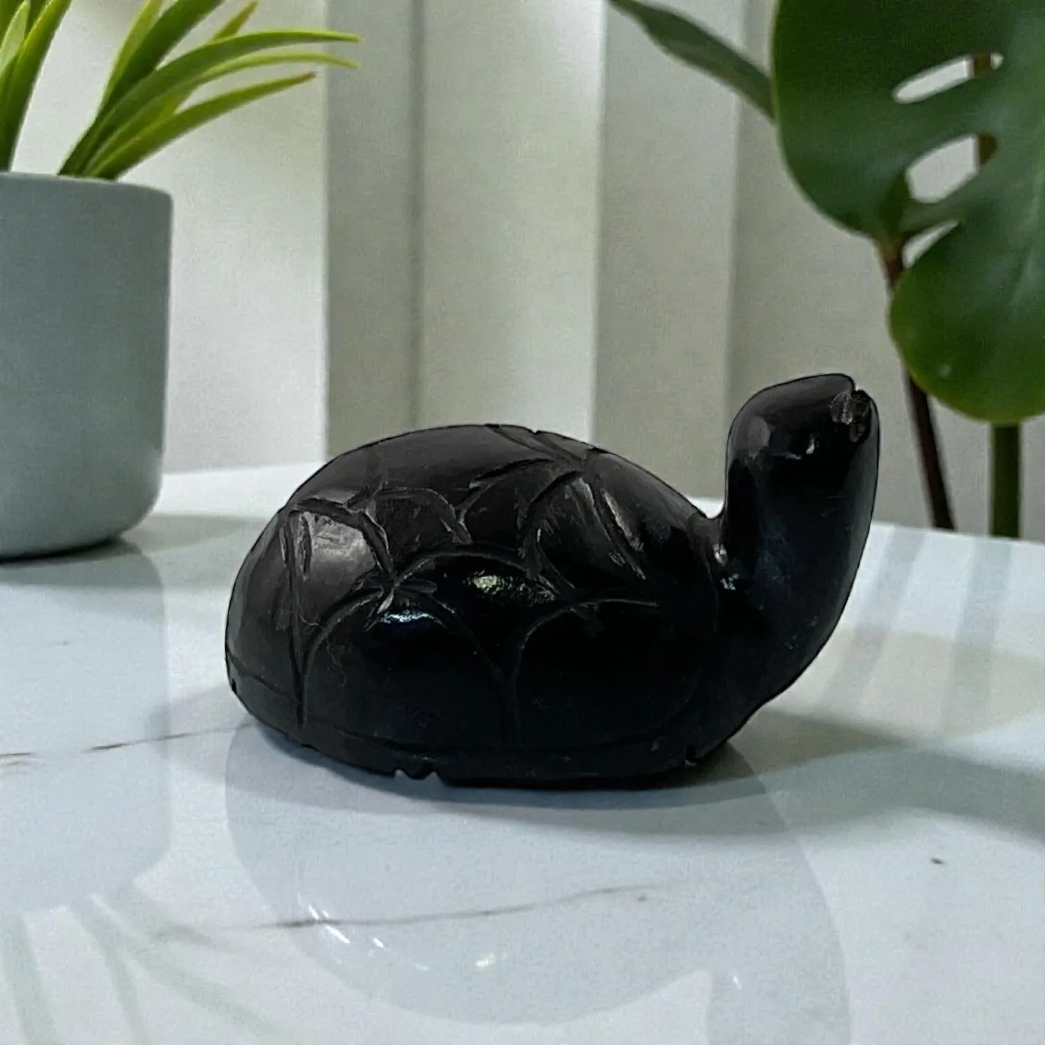 Black Agate Turtle