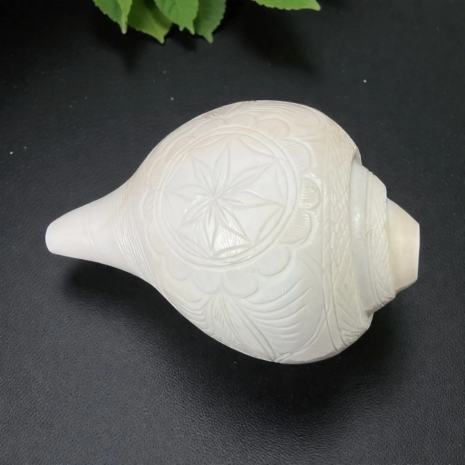 Sea Shankh