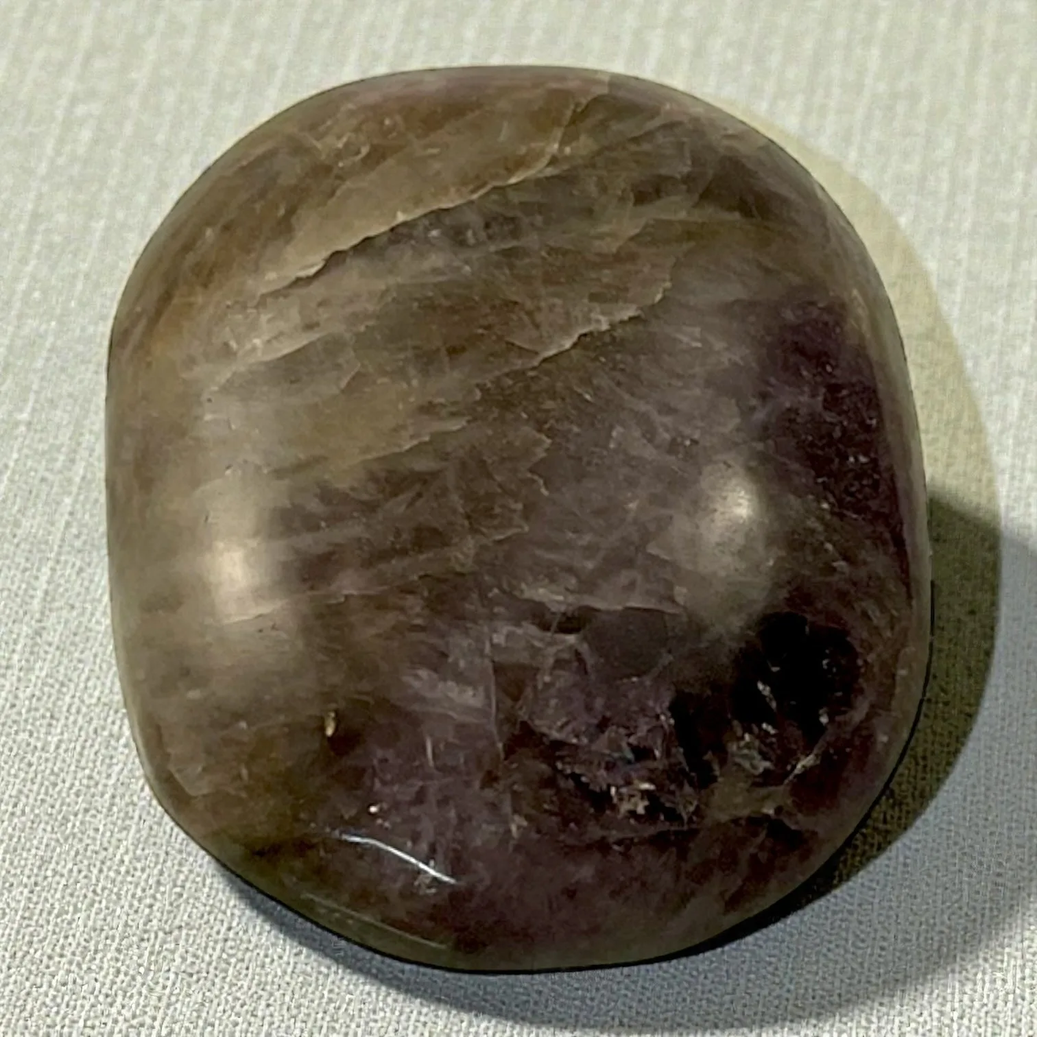 Amethyst Palm