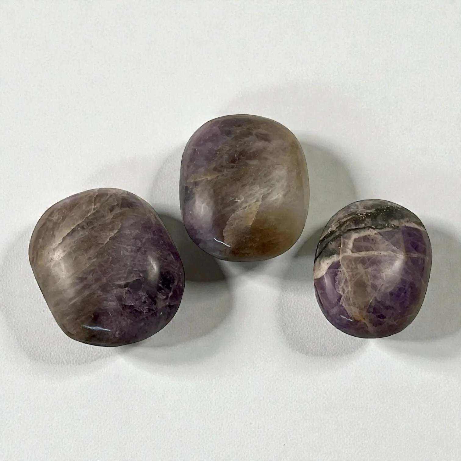 Amethyst Palm