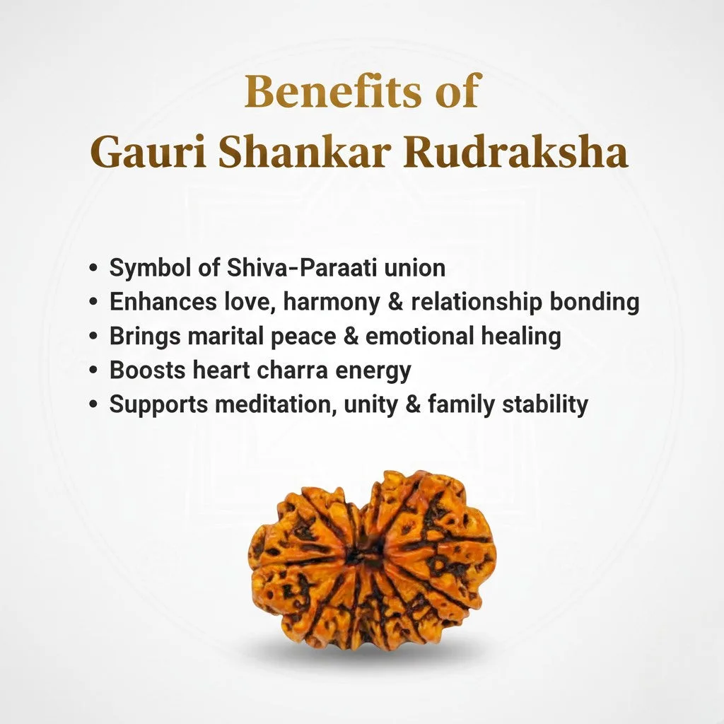 Gauri Shankar Rudraksha Beads