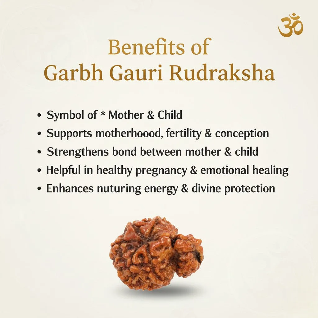 Garbh Gauri Rudraksha Beads
