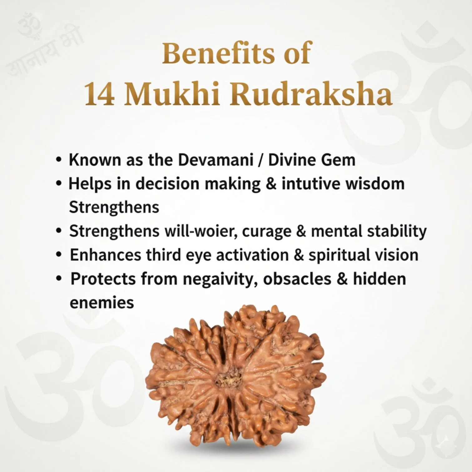 14 Mukhi Rudraksha Gold Plated Pendant