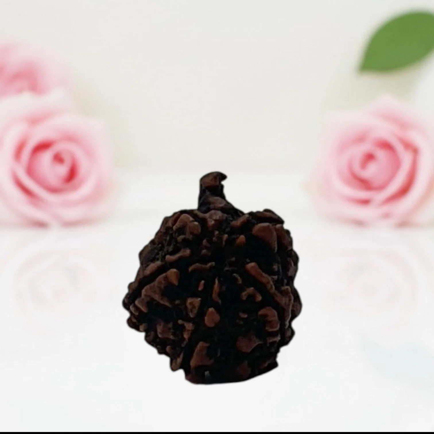 Natural Ganesh Rudraksha Beads  A Premium Quality