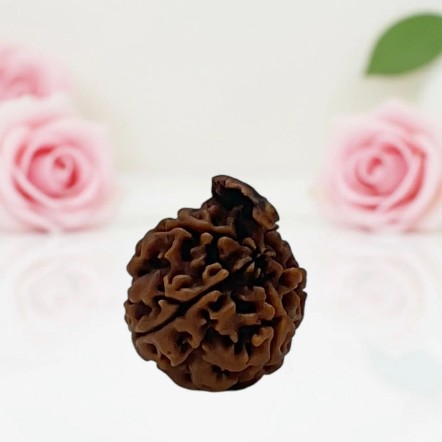 Natural Ganesh Rudraksha Beads  AA Premium Quality