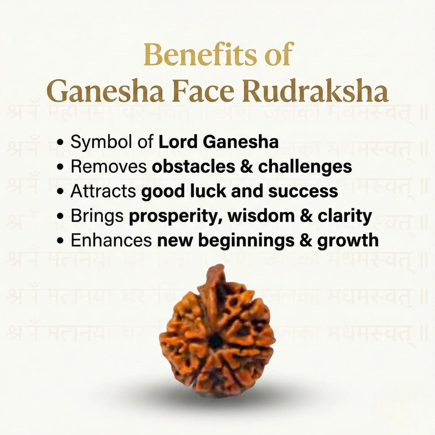 Natural Ganesh Rudraksha Beads  AAA Premium Quality