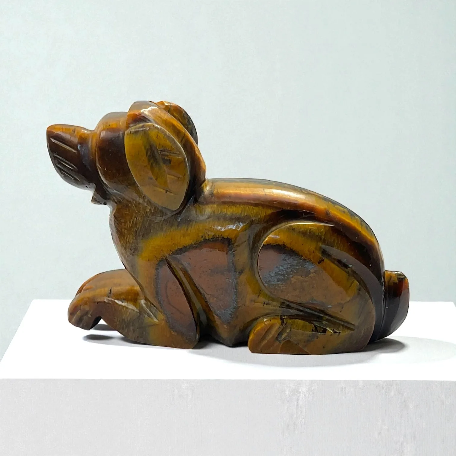 Tiger eye Animal