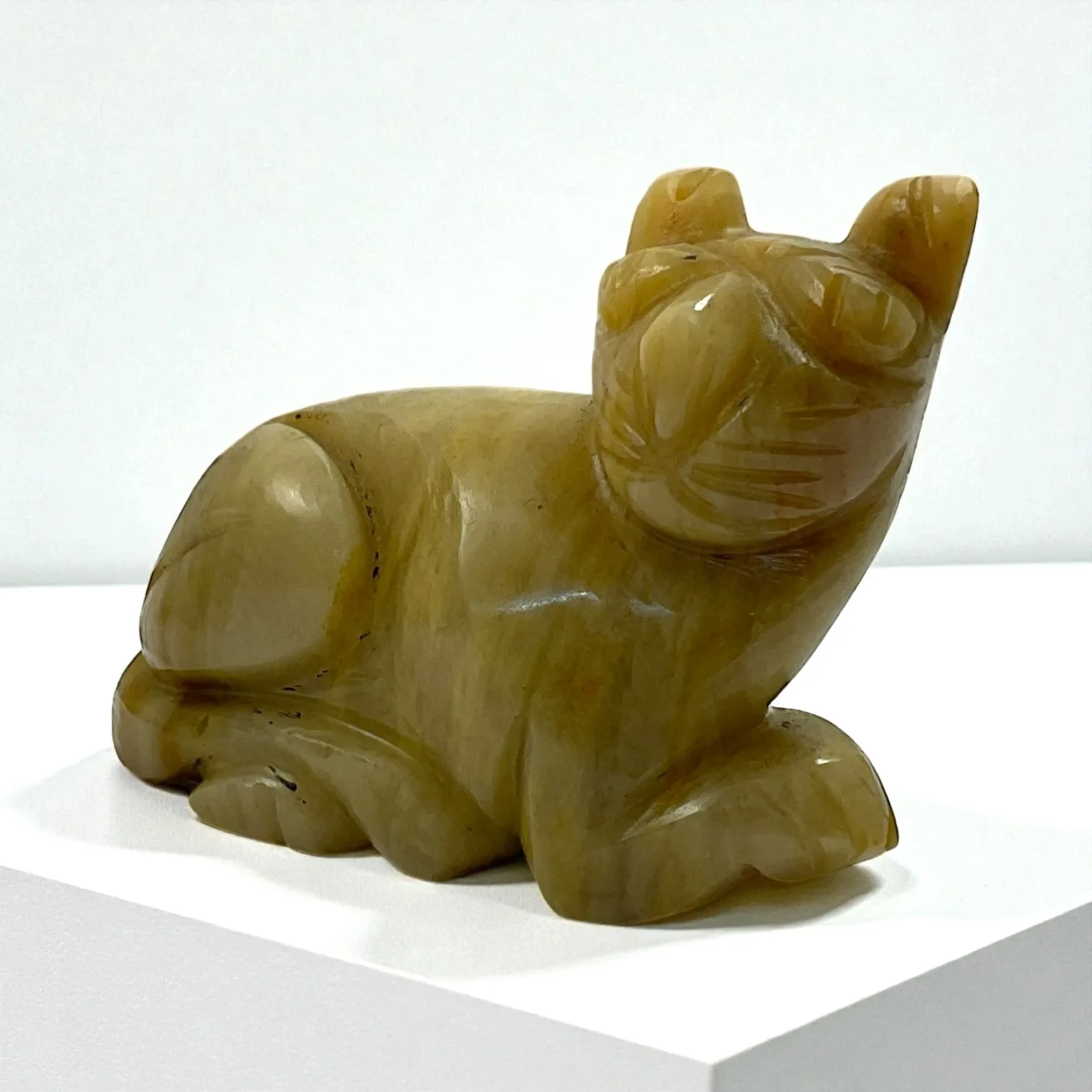 Cats eye Animal