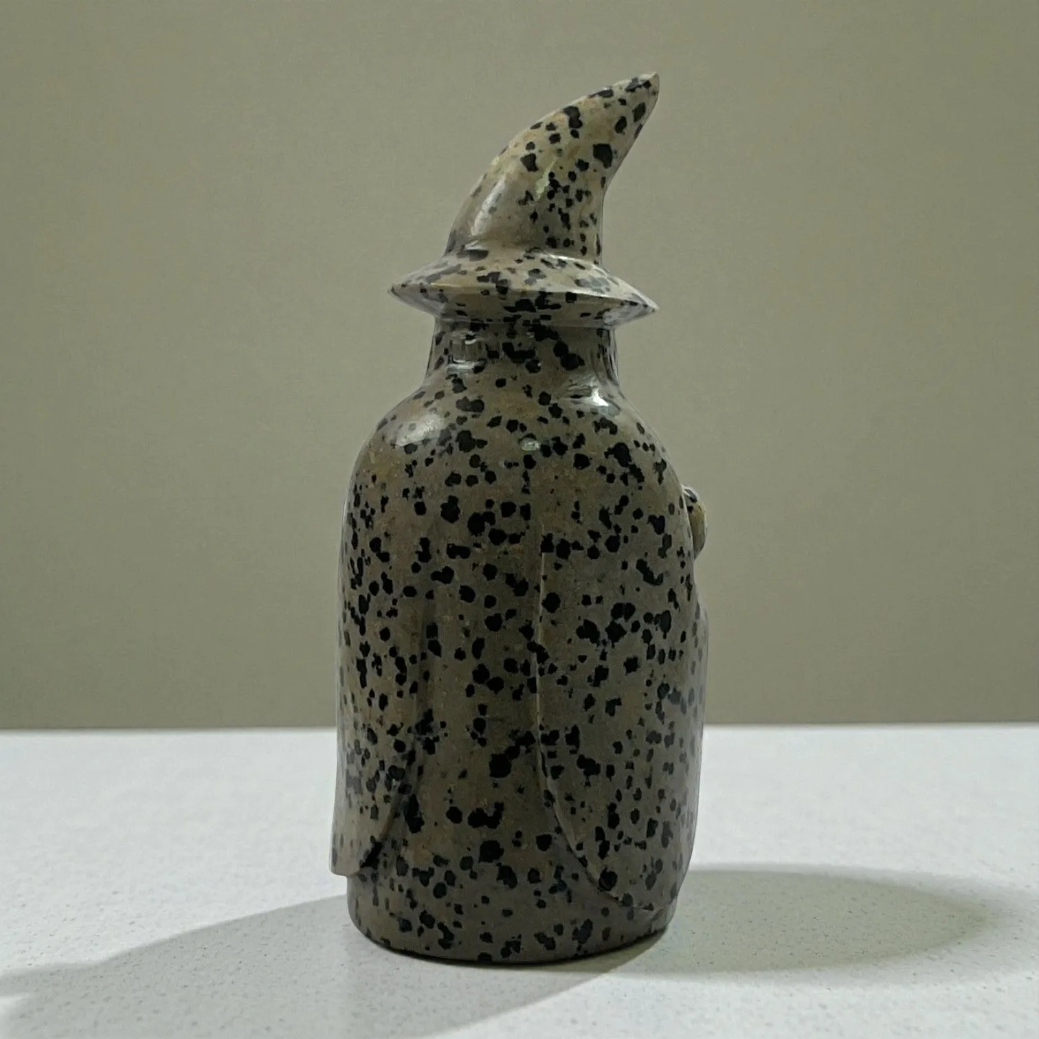 Dalmatian Jasper wizard