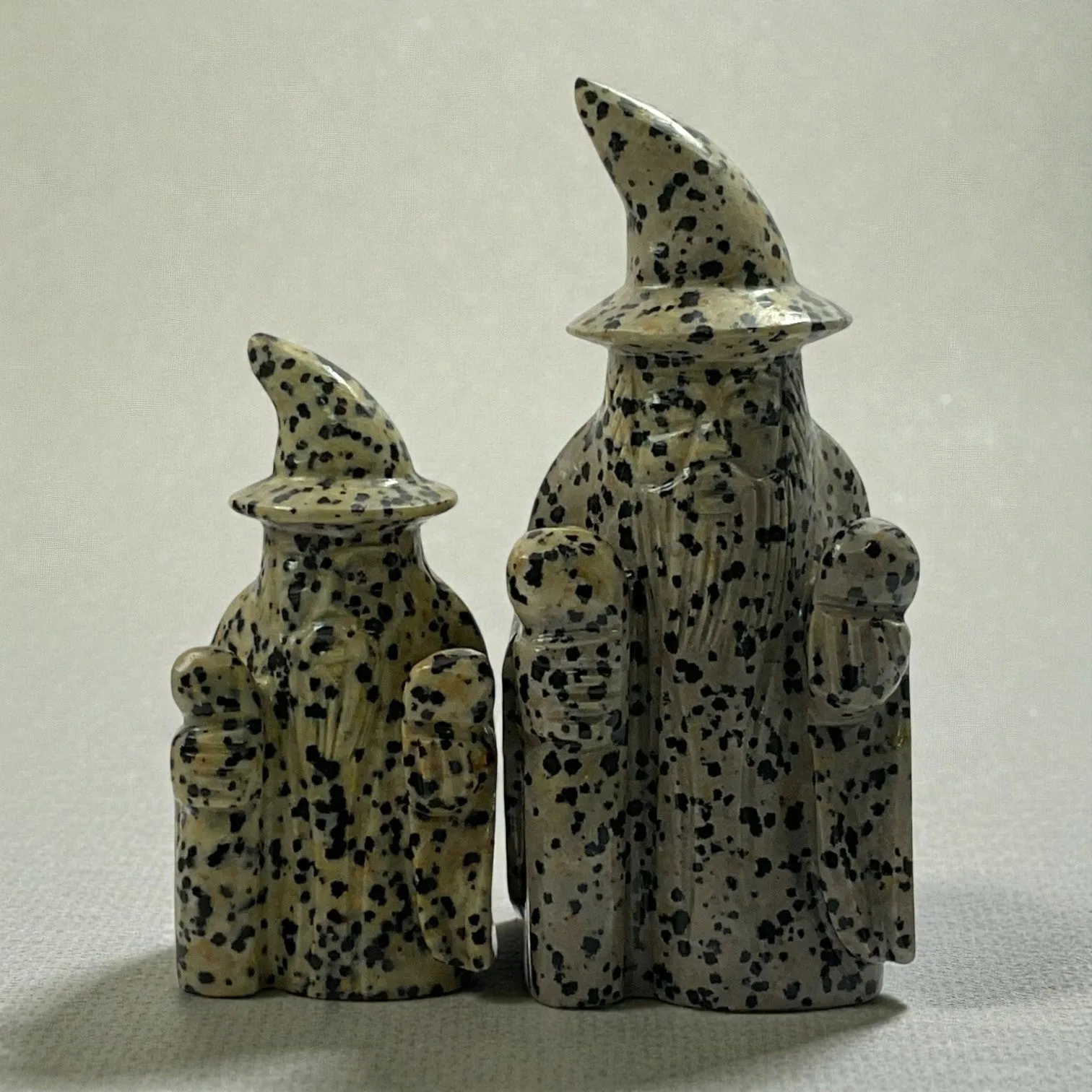 Dalmatian Jasper wizard