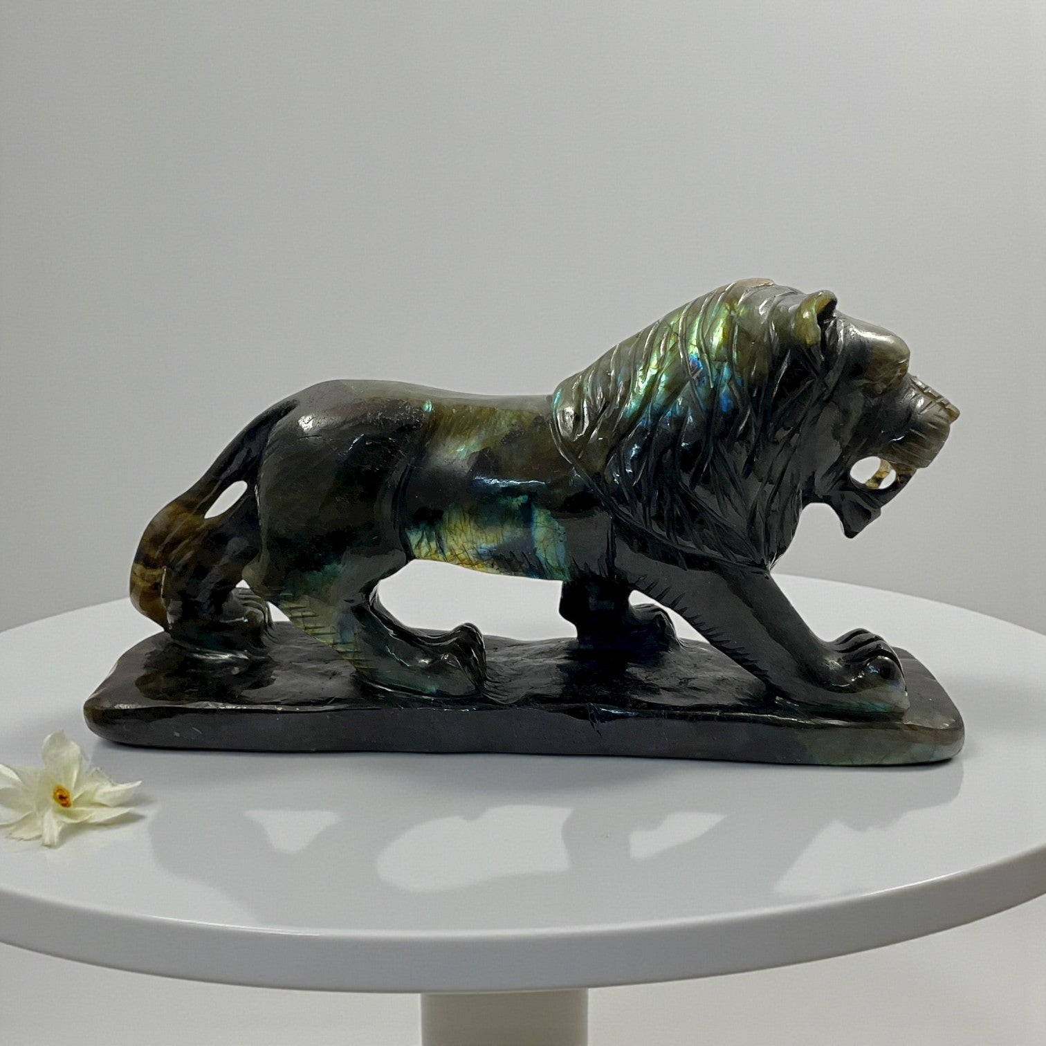Labrodorite Lion