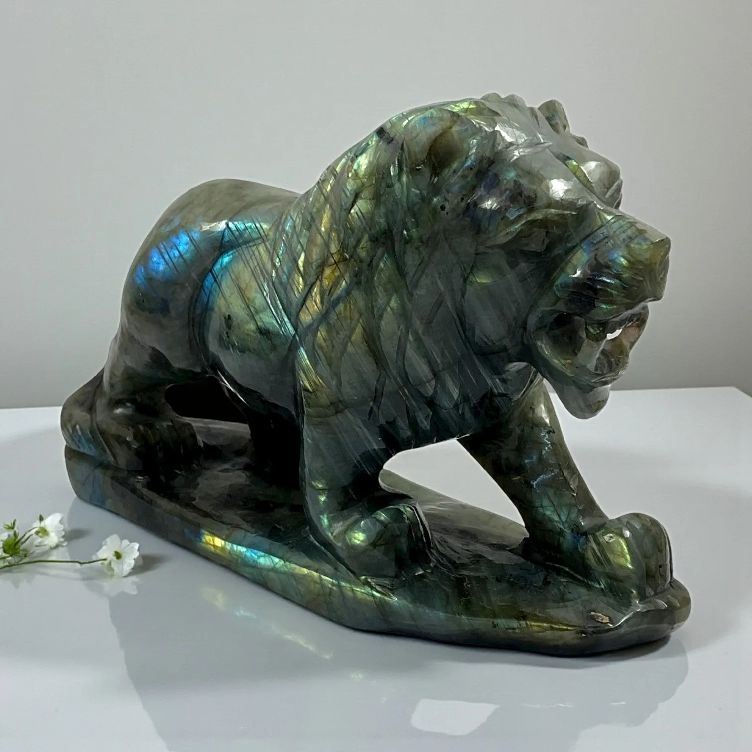 Labrodorite Lion