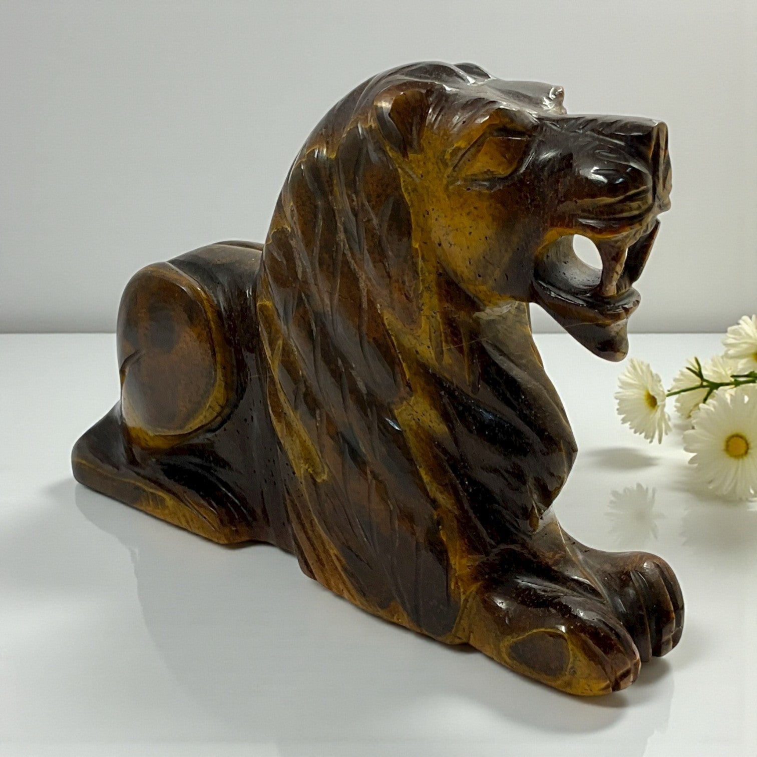 Tiger eye Lion