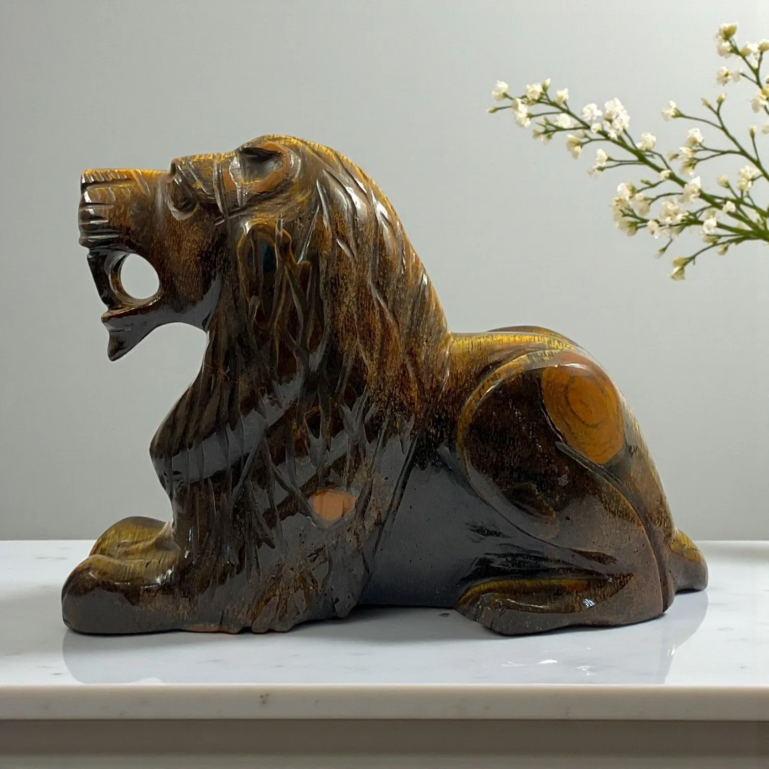 Tiger eye Lion