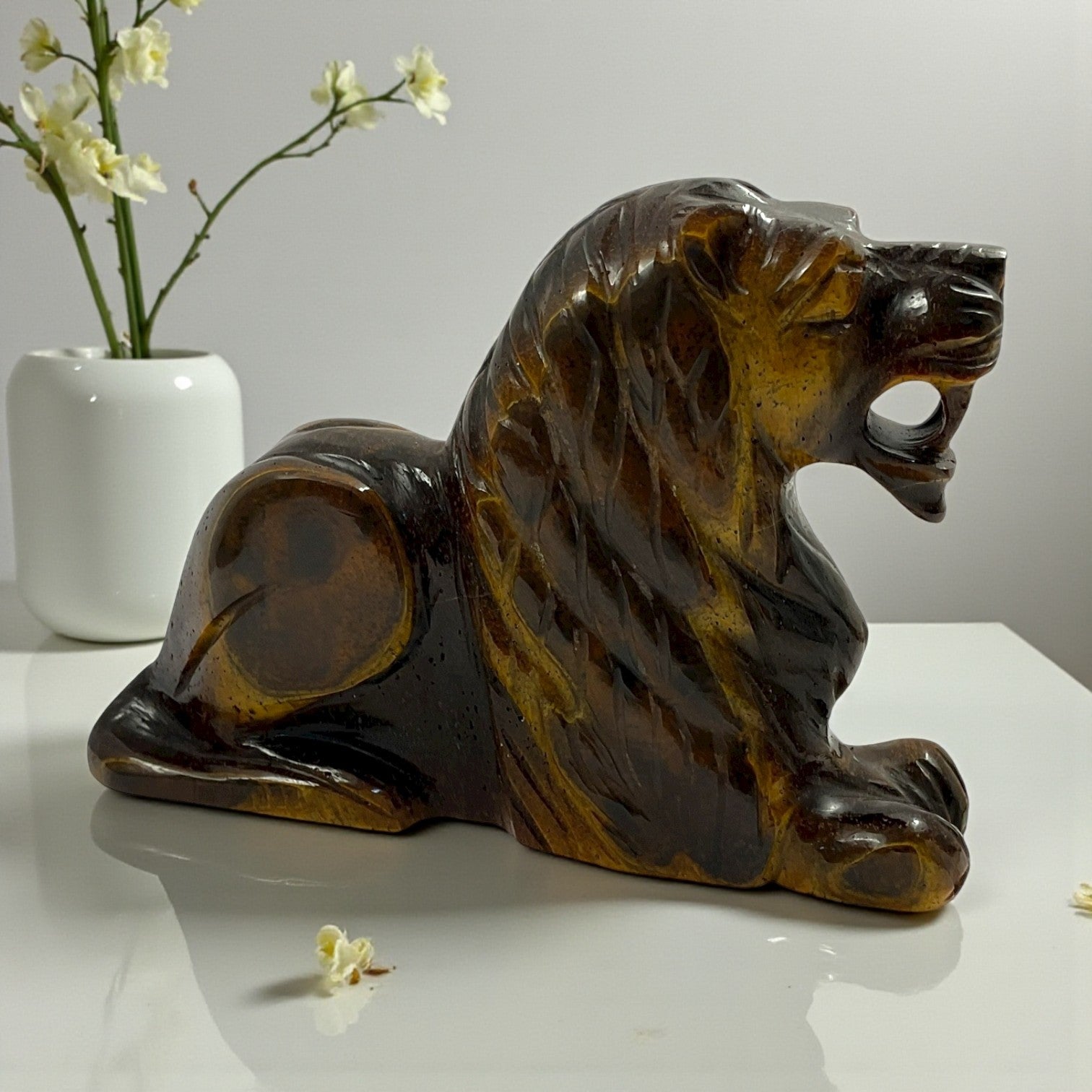 Tiger eye Lion