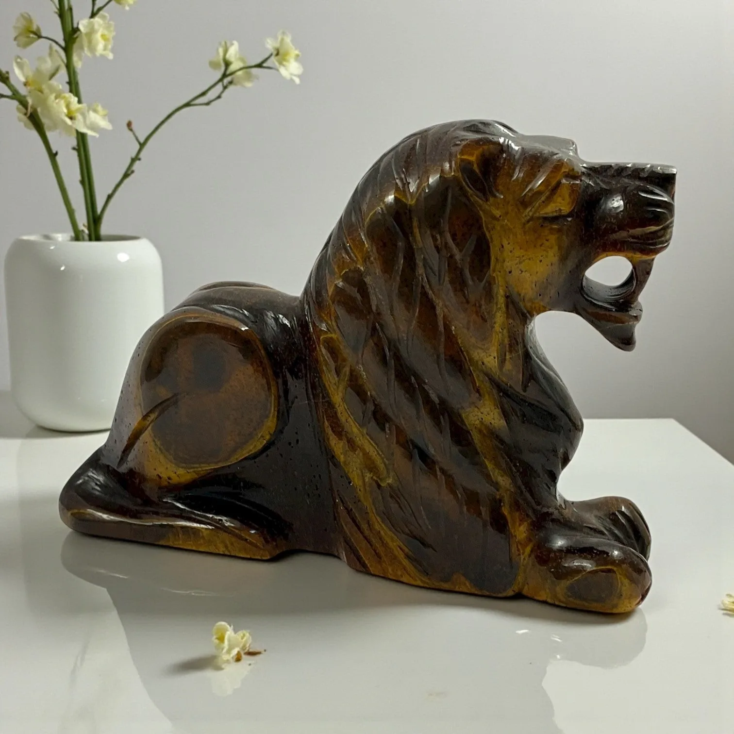 Tiger eye Lion