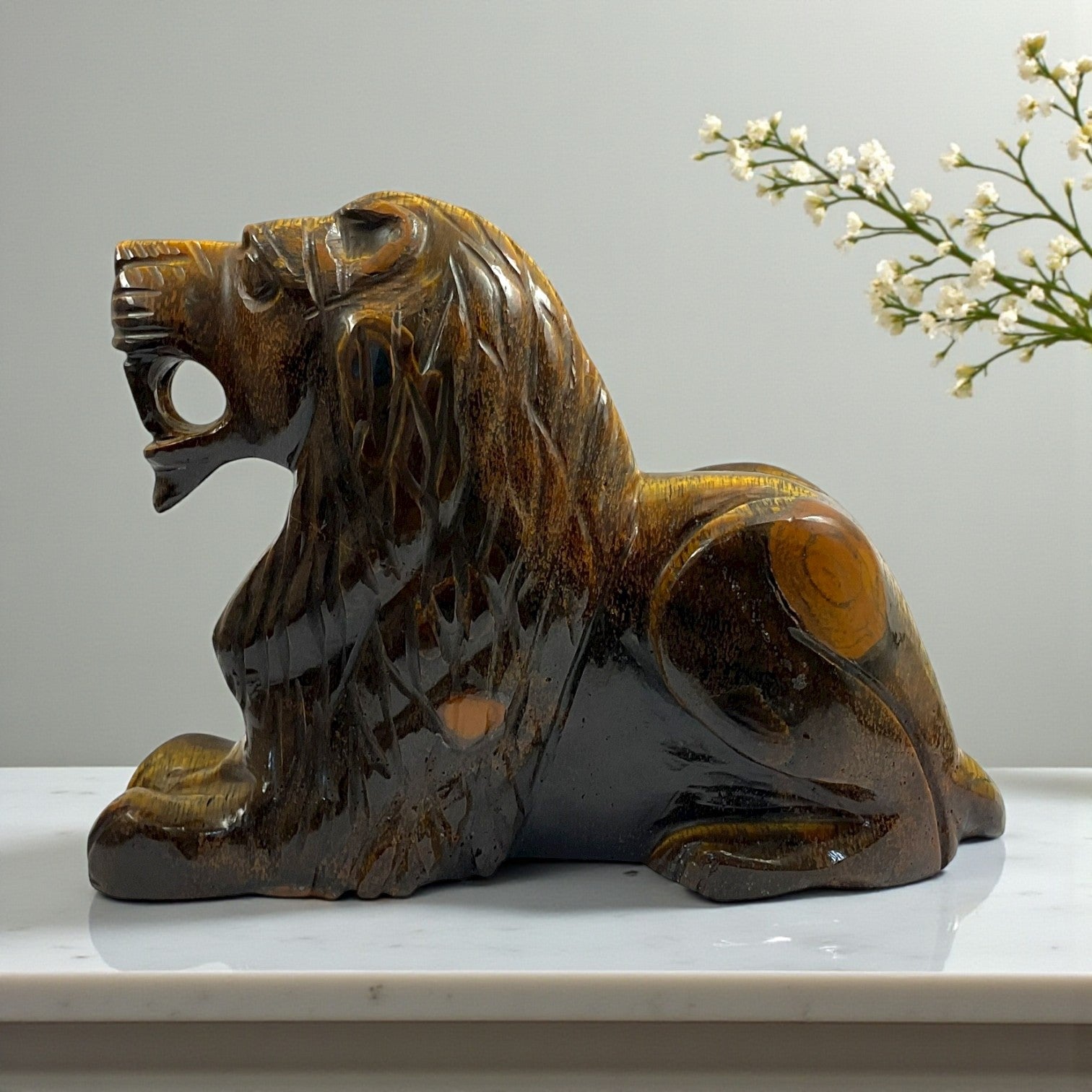Tiger eye Lion