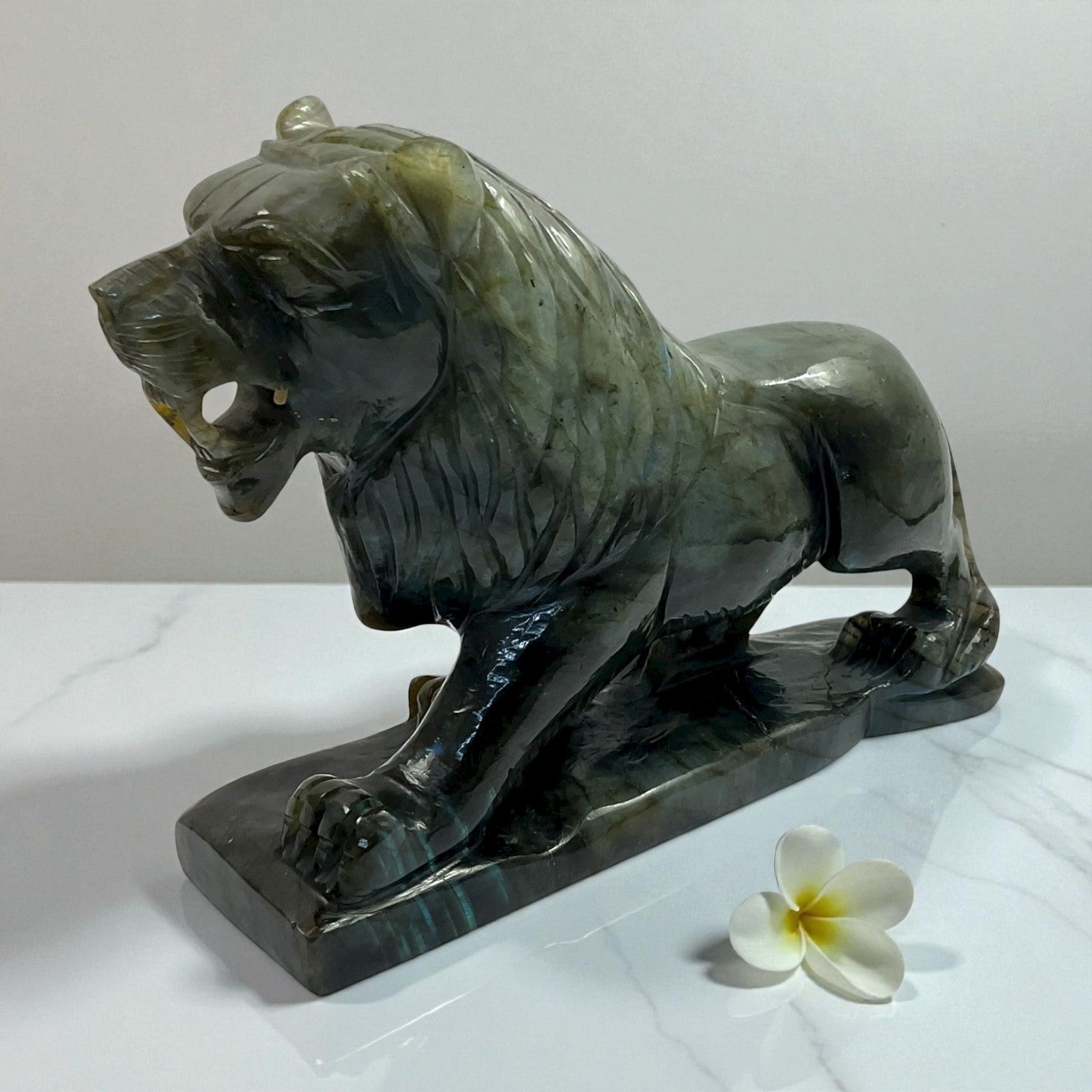 Labrodorite Lion