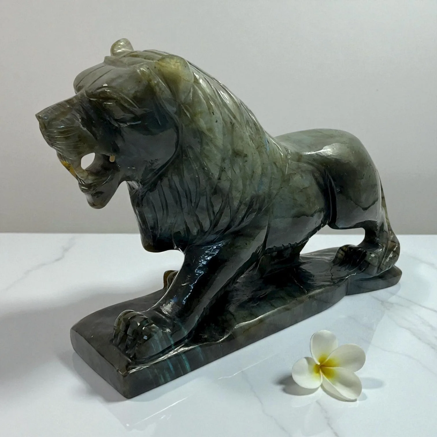 Labrodorite Lion