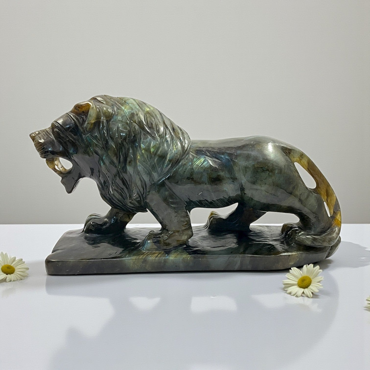 Labrodorite Lion
