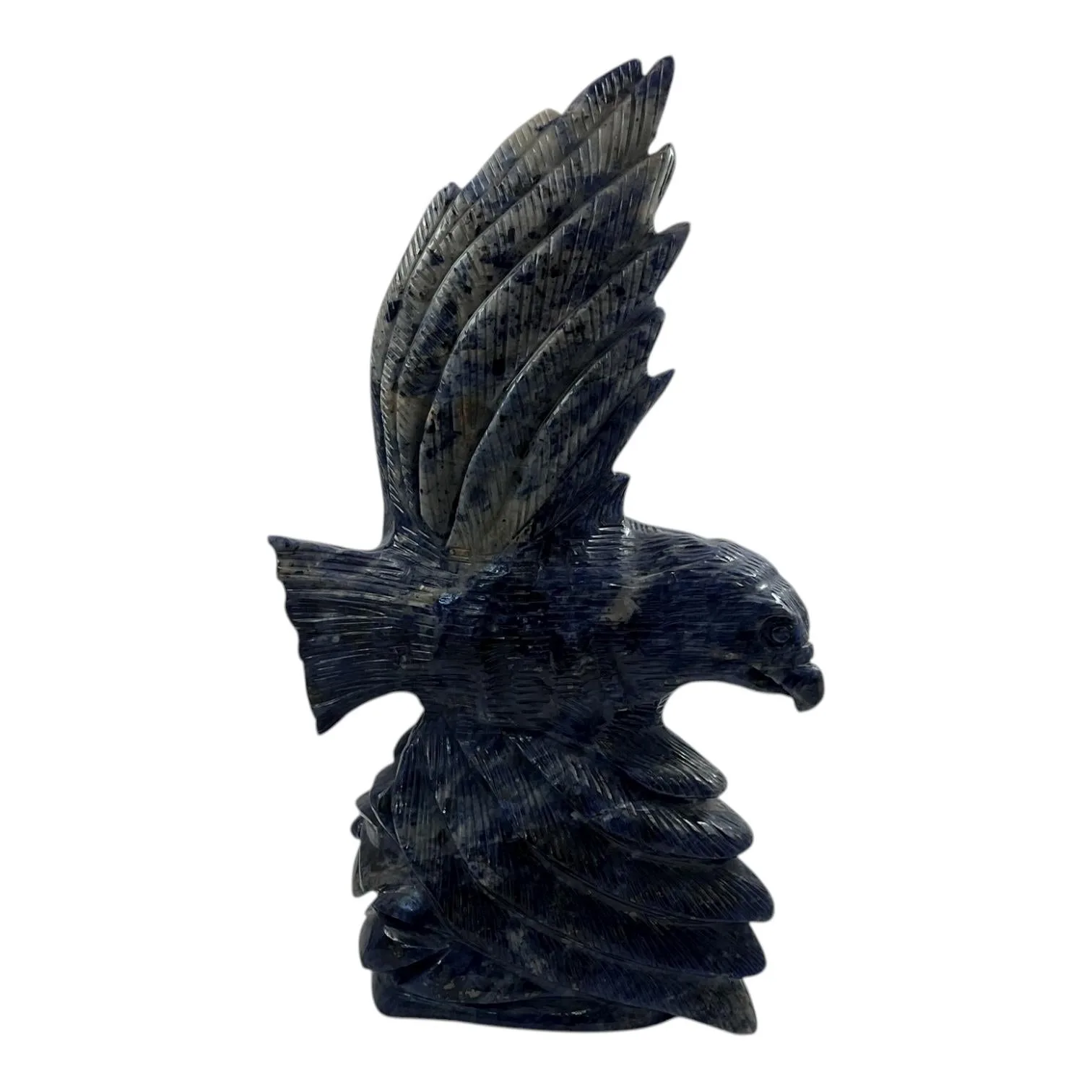 Sodalite Bird
