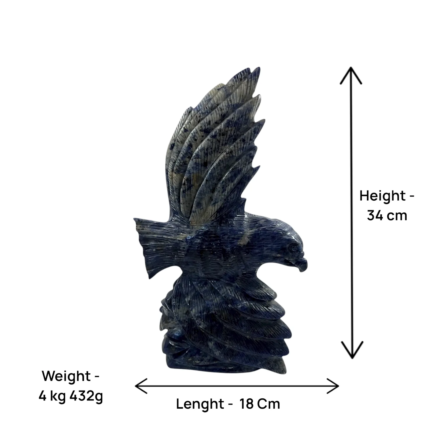 Sodalite Bird