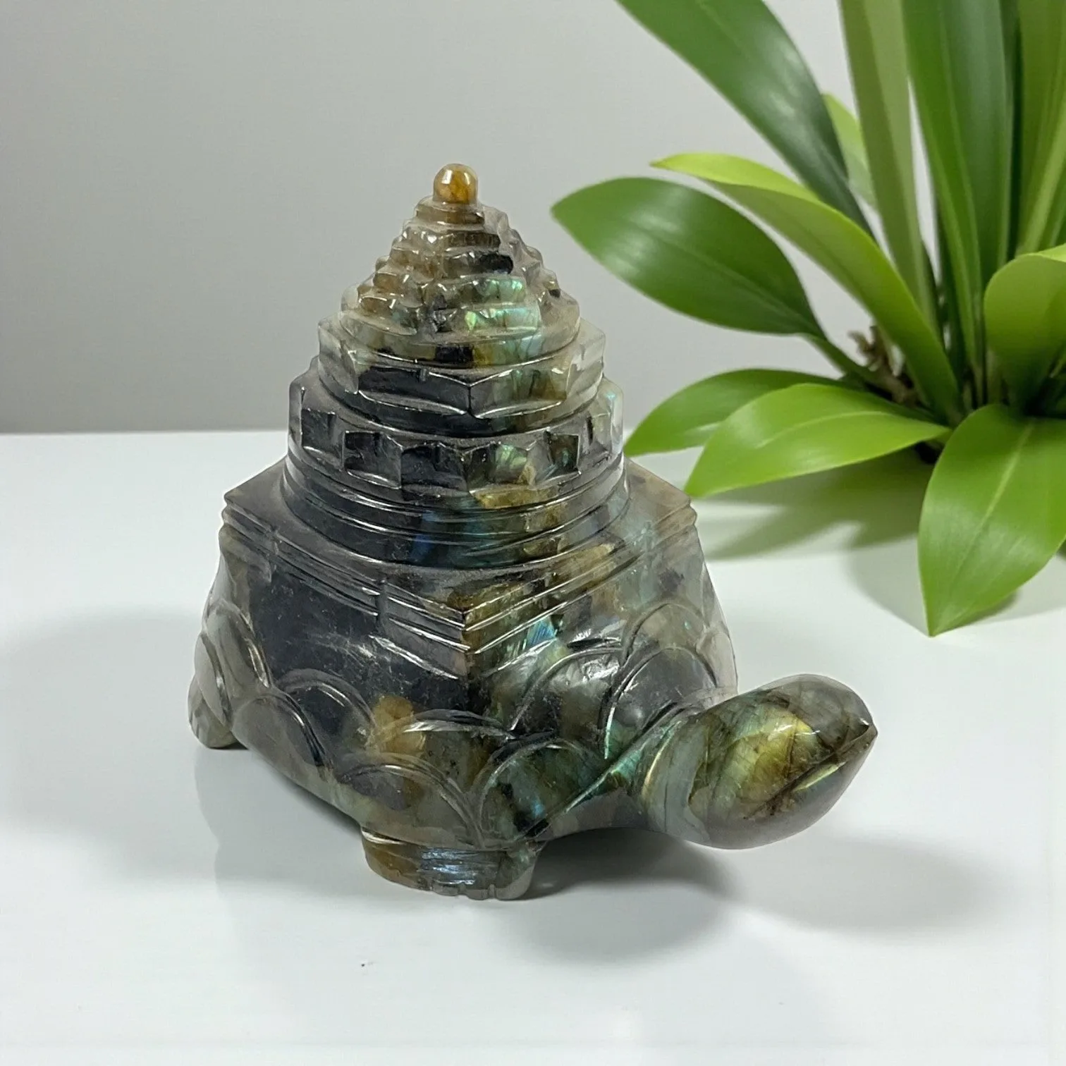 Labrodorite Shri Yantra
