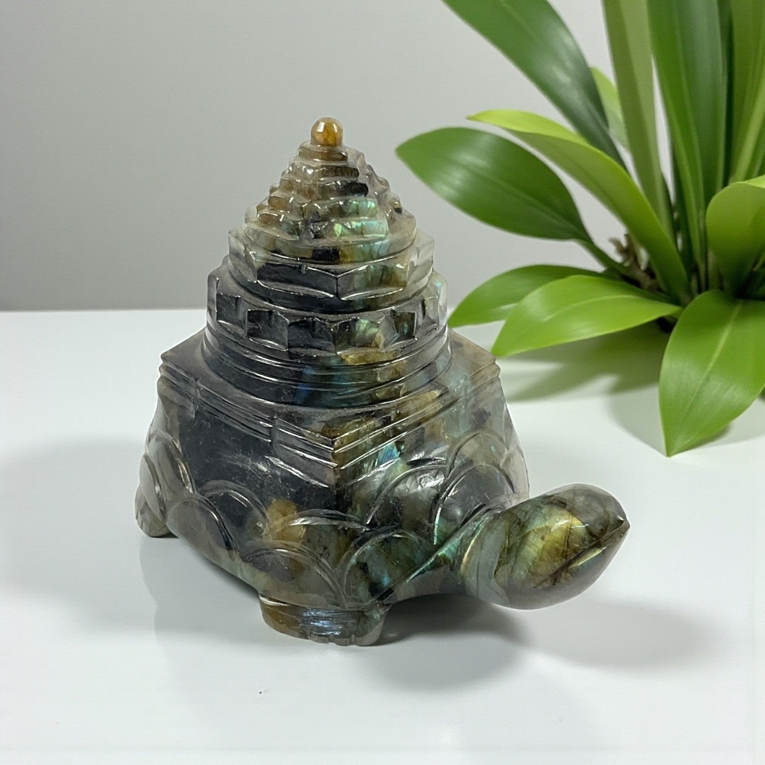 Labrodorite Shri Yantra