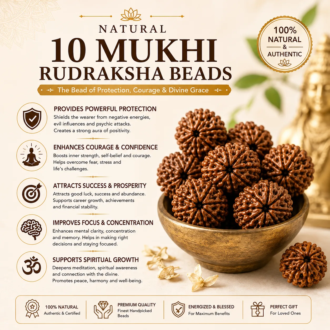 Natural 10 Mukhi Rudraksha