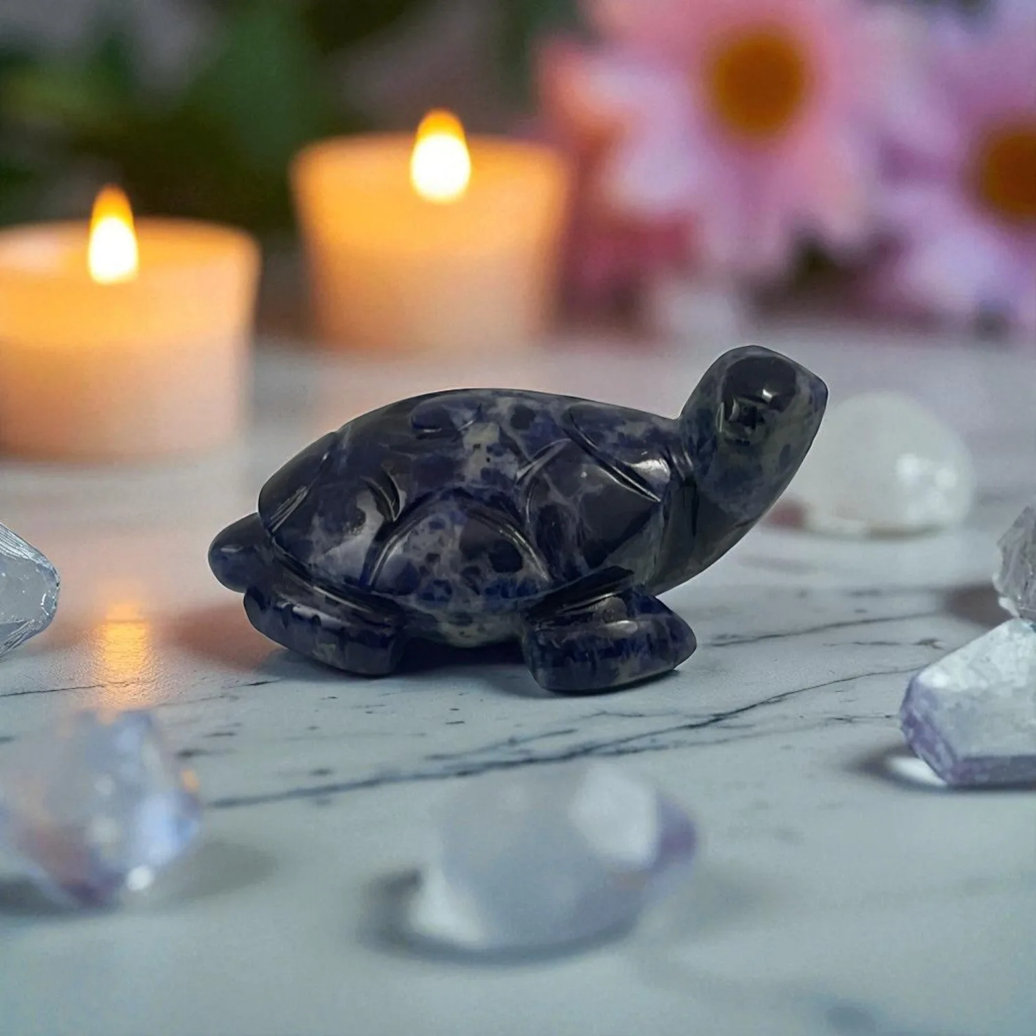 Sodalite Turtle