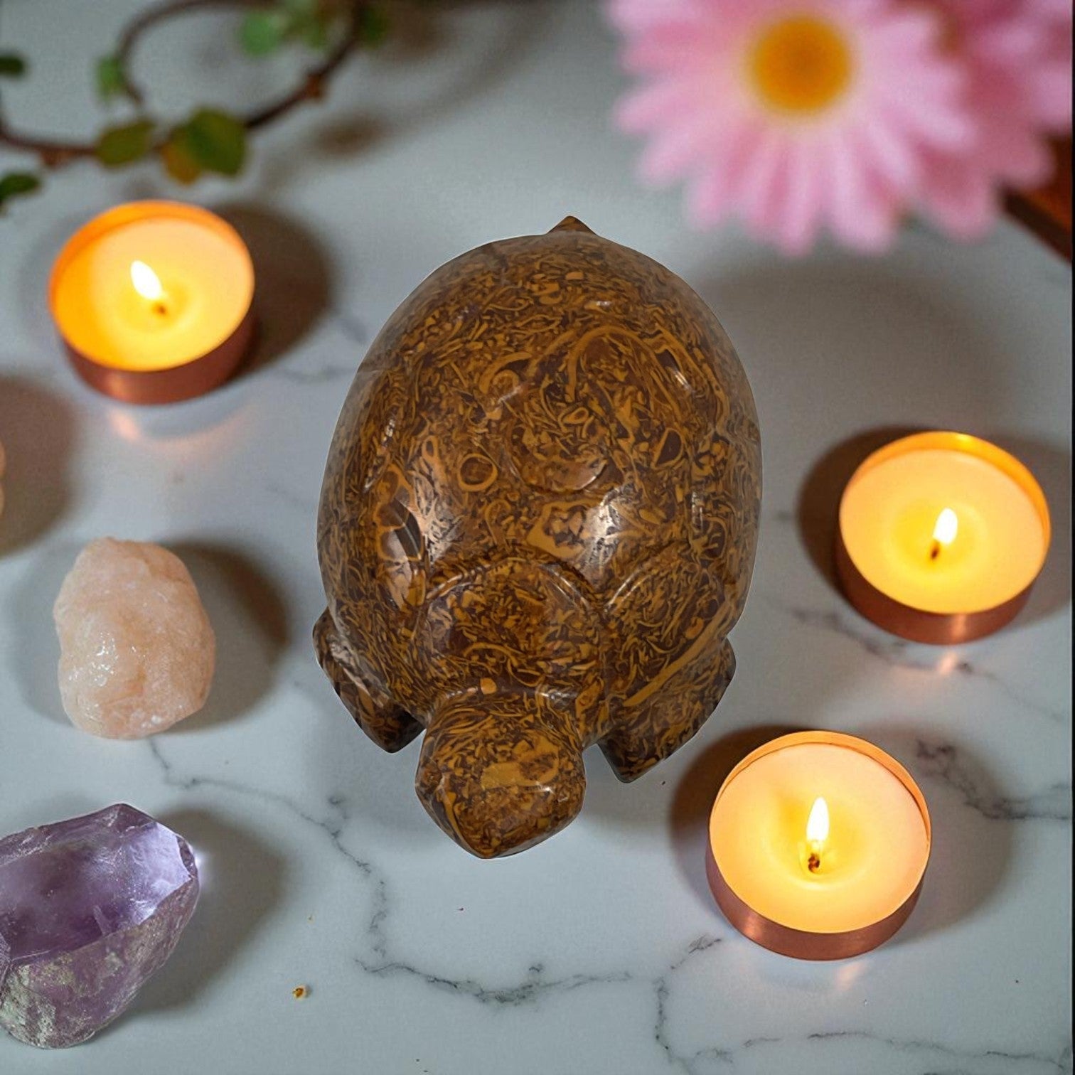 Mariyam JasperTurtle