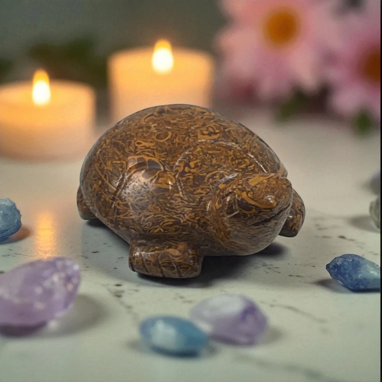 Mariyam JasperTurtle