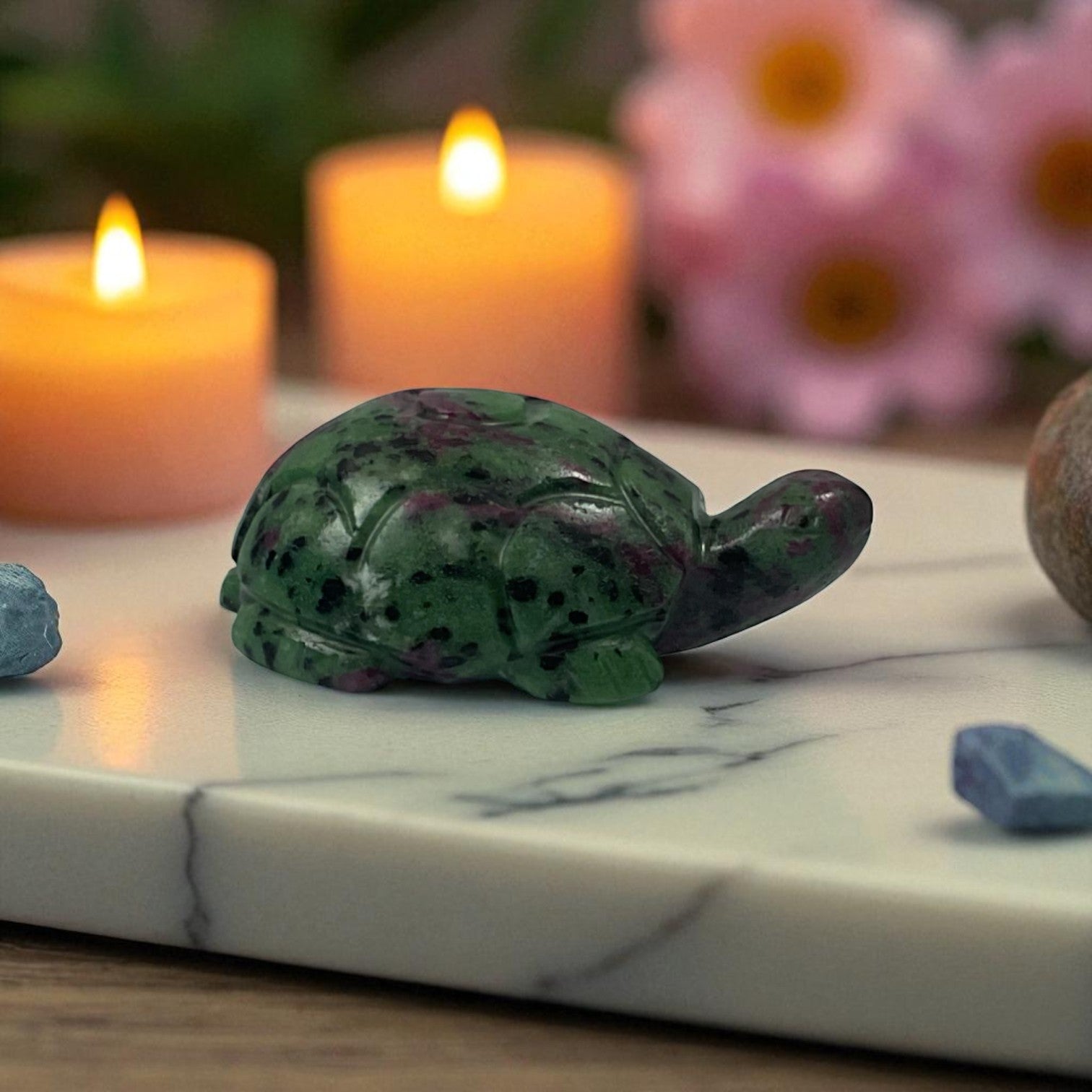 Ruby Zosite Turtle