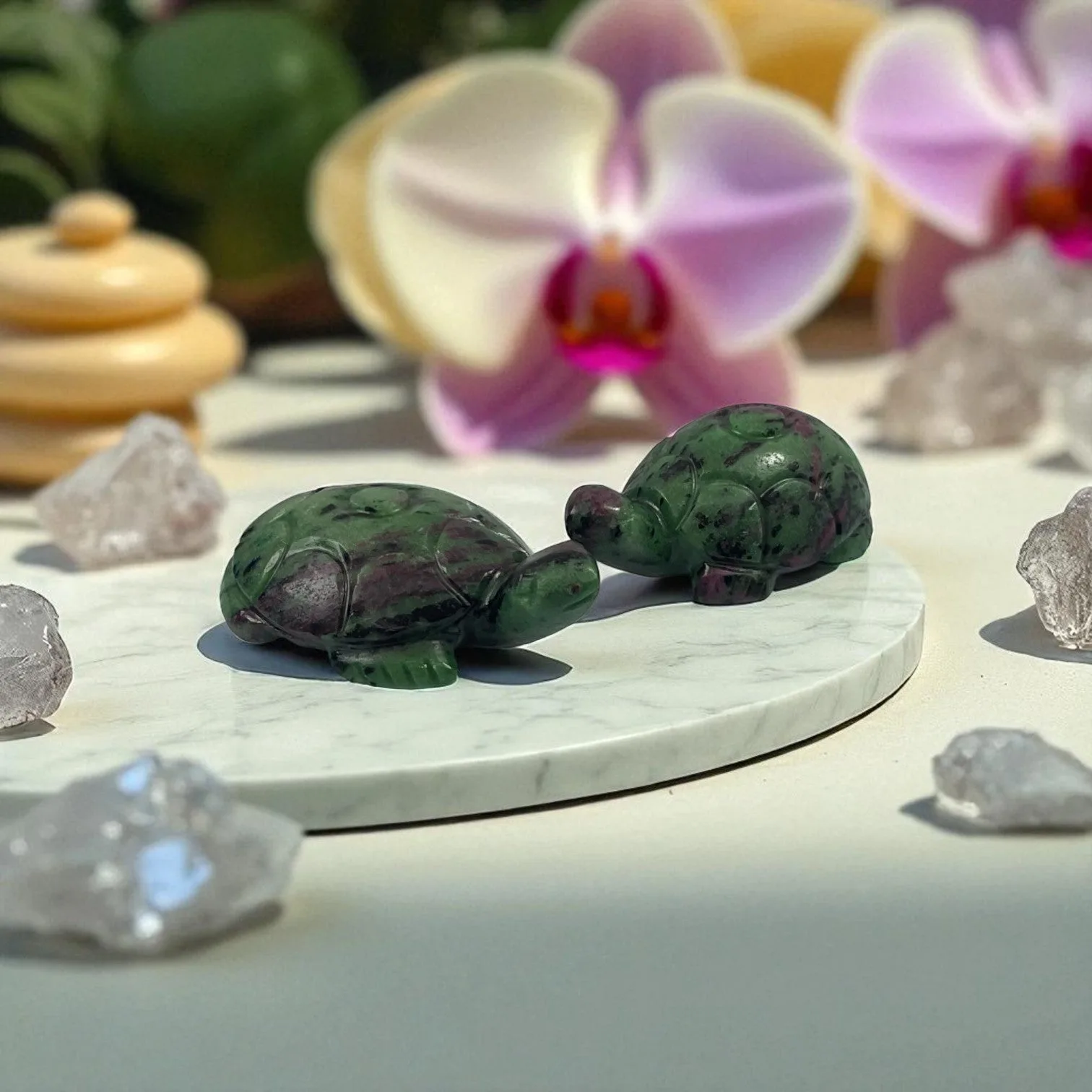 Ruby Zosite Turtle