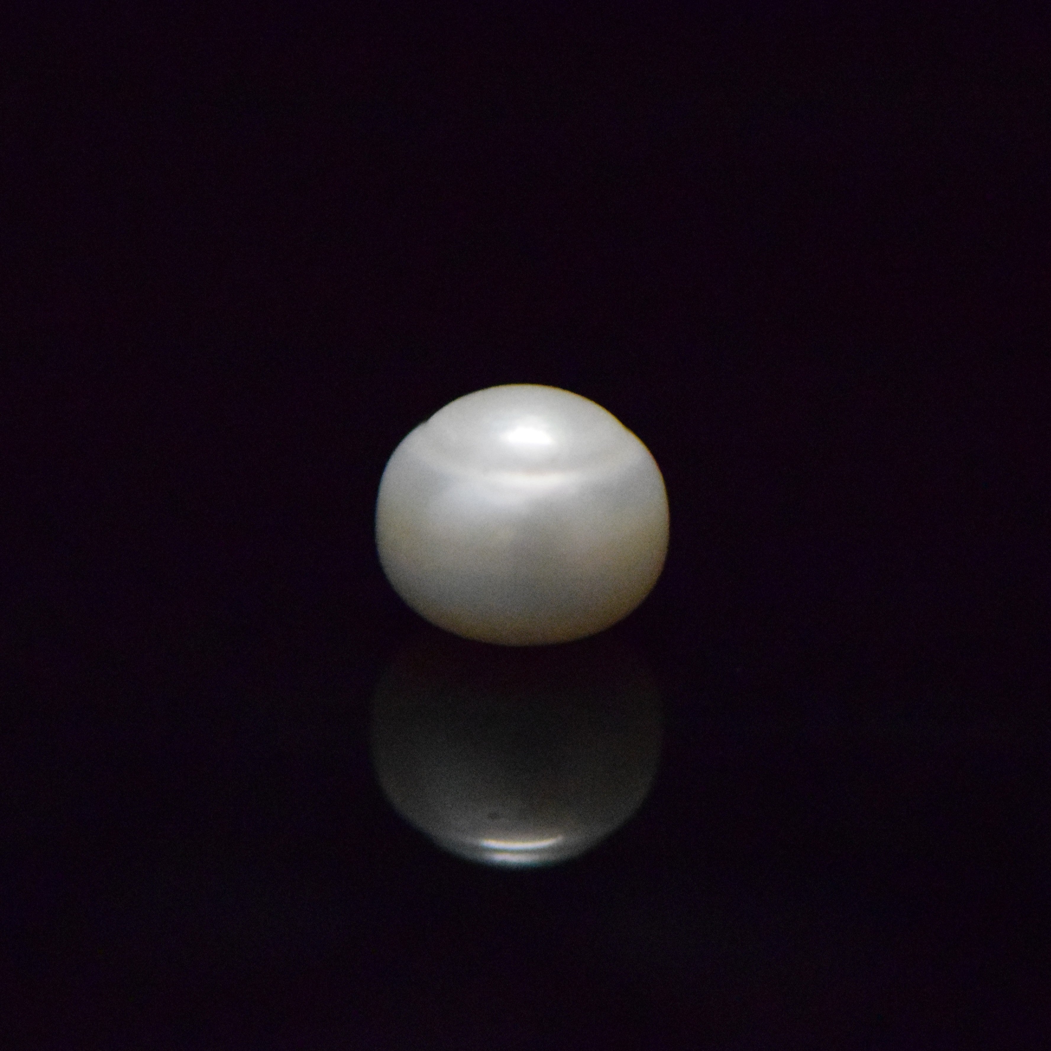 Fresh Water Pearl - 12.92 Carat